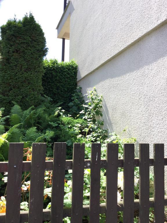 Apartamento Lydiavi Vysoké Mýto Exterior foto