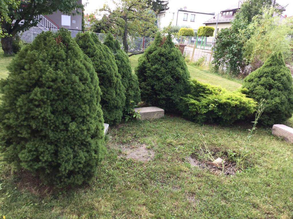 Apartamento Lydiavi Vysoké Mýto Exterior foto