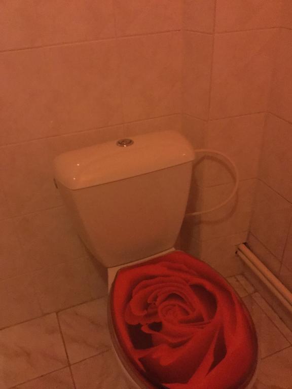 Apartamento Lydiavi Vysoké Mýto Exterior foto